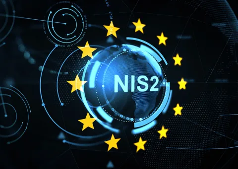 NIS-2 Logo europaweit.